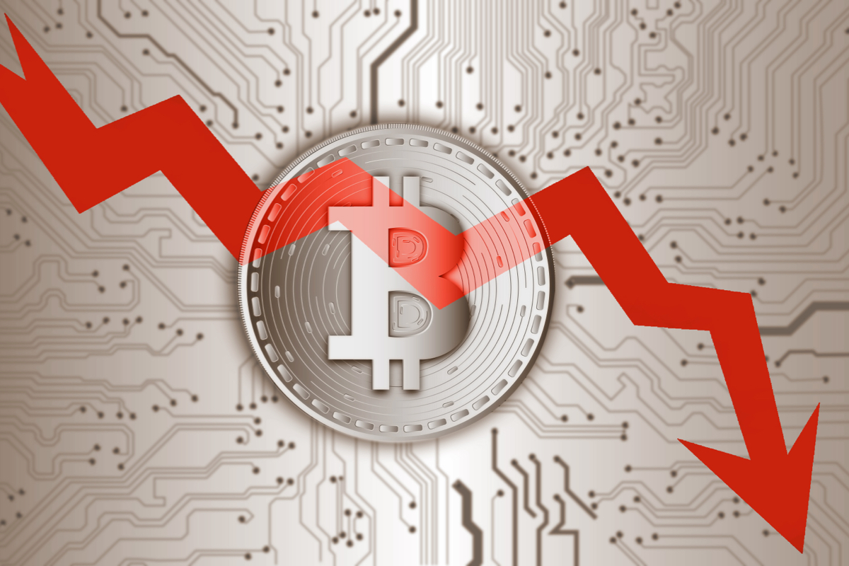 姚晨,岁晒儿时照,土豆,ebpay,ebpay钱包,ebpay钱包官网下载