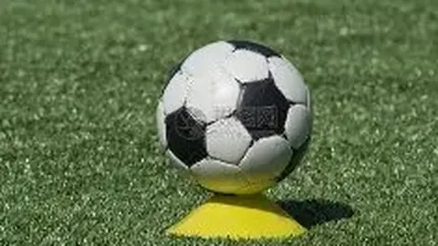 “布鲁克林篮球队重回赛场！篮网官方公布球员训练情况”