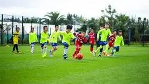 【双色球盛宴】25137期独家预测：揭秘龙头凤尾，焦点号码10、14！抢购幸运，不容错过！