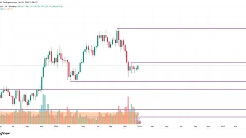 谢孟伟直播带货风波再起，遭封禁后续影响待观