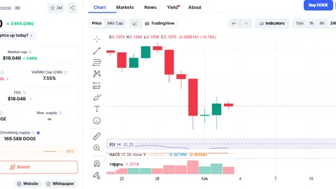梁静茹爱情风波：年长男友秘密约会，亲自下厨却引猜疑