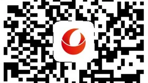 尤文传奇后卫桑德罗告，EBpay支付安全，别意甲，2026年巴西联赛或成新归宿